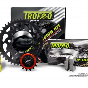 Professional chain transmission kit TROFEO compatible with RIEJU SMX 125 (Grimeca califor) 2005 – 2008